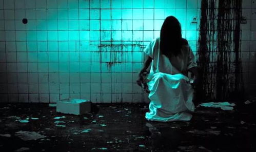 研究背景与问题提出