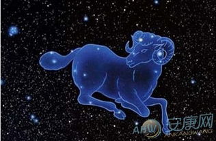 属马白羊座2026蛇年运势，属马之命在蛇年十二个月的运程具体如何？