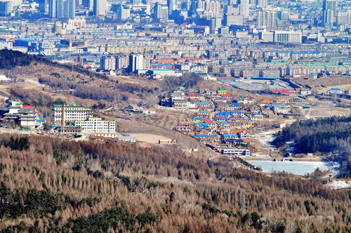 博乐市概况：边陲小城的独特魅力