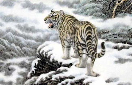 2026年属虎人的事业运势和财运具体表现如何？