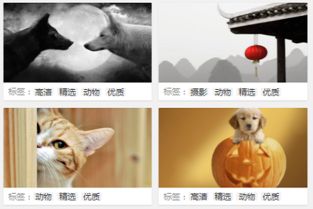 元素五行的内在关联