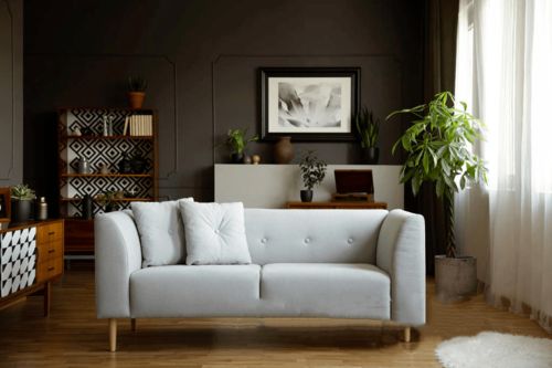 五、 挂凶猛装饰物——视觉刺激致身心失衡