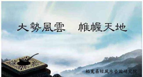 1.2 免费标签背后的潜在陷阱