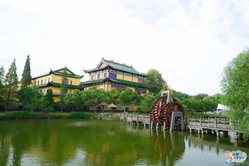 天啦噜！江南旅游套餐大曝光！2026年狗屎运预报！