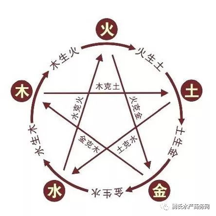 五行理论中的金属性与极旺状态