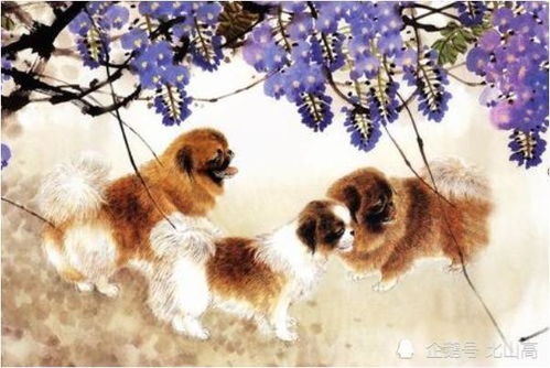 大海水命生肖狗女性适合从事哪种生意？