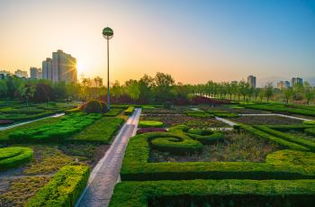 渭河公园旅游攻略：一场说走就走的“迷路”之旅