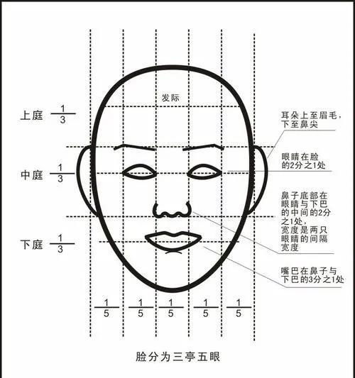 眼距宽的生理定义与个体差异性