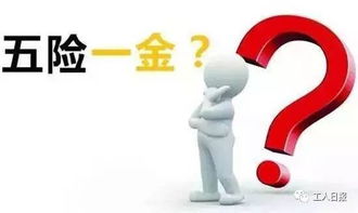 （四）工伤保险