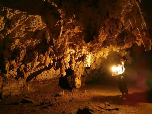 山洞中的遭遇