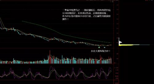 政策提议方向: