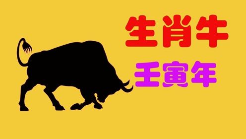 一、 属牛个体特质与职场行为模式的概括