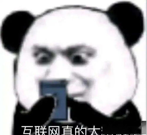 1.1 情绪管理与自我调适机制