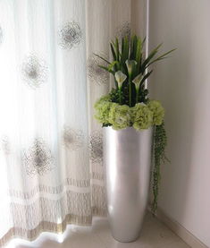 车内摆放盆景对风水有影响吗？