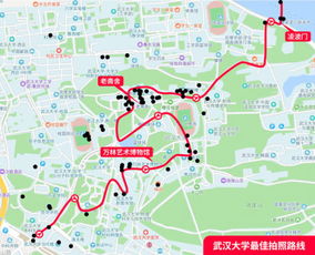 我们是怎么迷路的（过程极其惨烈）