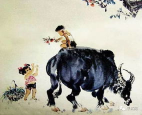 一、 探究背景与目的