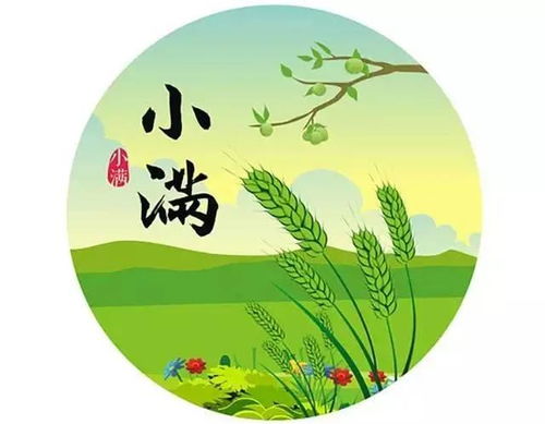 3.3. 风水方位与周边环境布局