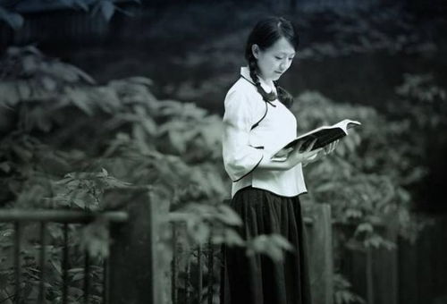 苏轼贬谪黄州的典故