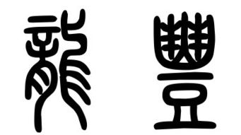 生肖元素：龙——腾飞与进取的象征