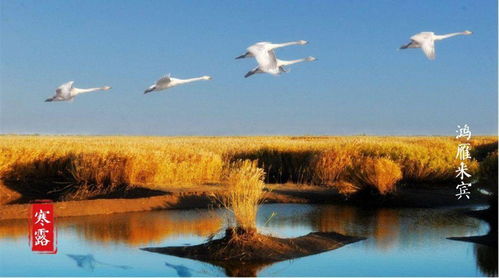 气温骤降与昼夜温差