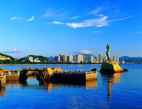 淇澳红树林：珠海生态秘境 免费却拥挤