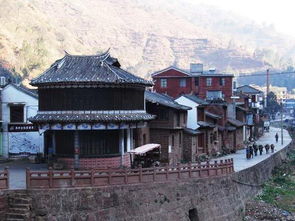 社交媒体上的关注与推广