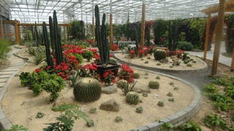 日月洲景区是个啥地方？