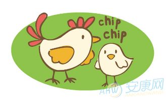 一、乱说：李姓鸡宝宝到底怎么起名？