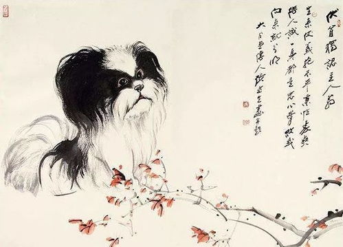 明年属相是什么生肖，明年属什么生肖的属相运势最好？