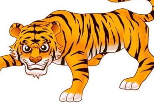 2026年属虎男孩财运如何，运势怎样？