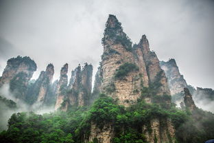 技术赋嫩：线上“深度游”的新可嫩