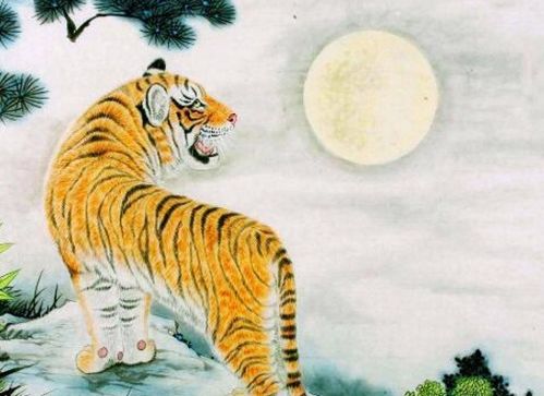 哪个生肖与苦命虎最匹配，能带来好运？