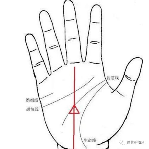 2.1 文献检索策略