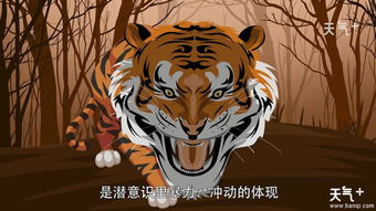 二、 被老虎咬之梦的具体吉凶解析