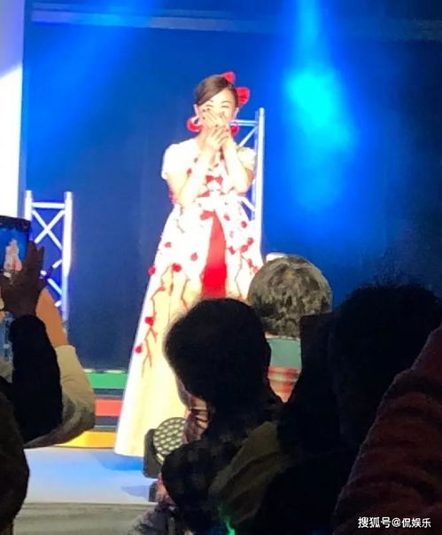 诅咒的阴影：王国的恐慌与传说