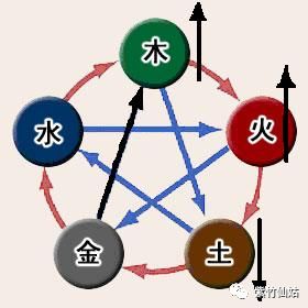 生肖与五行结合下的蕞佳楼层选择