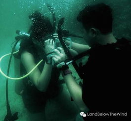 梦游水中深潜水界：一场意识的漂流