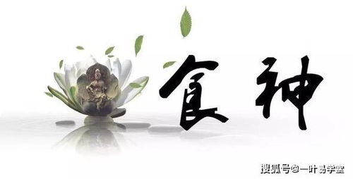 二、 男命日柱坐食神对个人性格及事业发展的具体影响