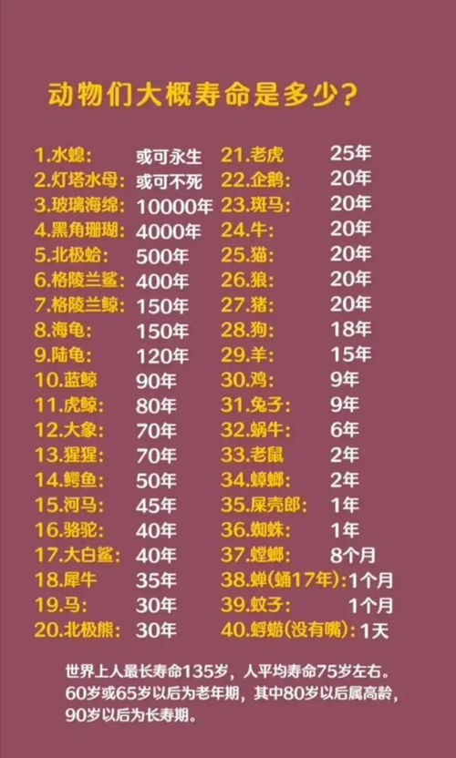 综合数据表：全球已知最较长寿动物及其平均预期年龄