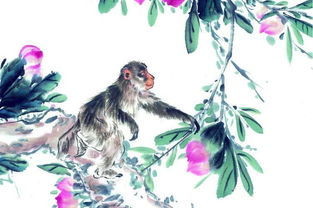 什么时候将迎来什么生肖年，持之以恒耐心等待究竟对应哪个生肖？