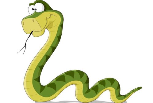 2026年属蛇本命年有哪些注意事项和禁忌？