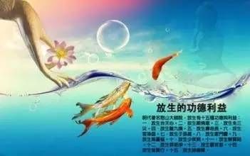 二、 “放生”功德之理论依据：从佛教经典到现代化伦理学