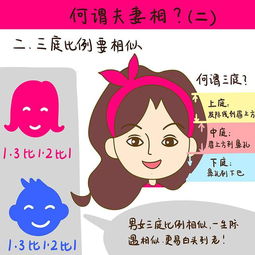 二、 三停比例一致型夫妻相
