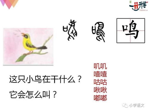 孰字起名吉凶如何解析？这个名字的含义是什么？