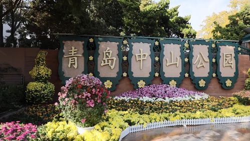 中山公园菊花展：赏菊打卡， 新地标