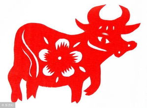 属牛人今天的运势如何？具体运势分析是什么？