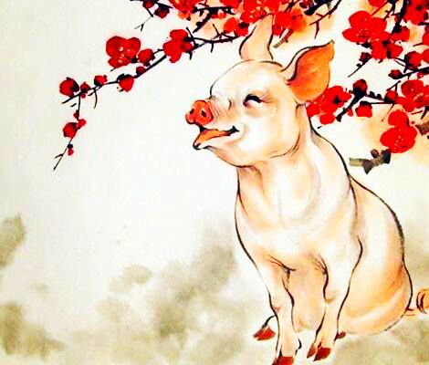 生肖运势详解