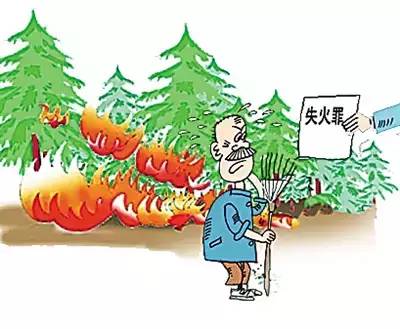 2026年蛇年具体是哪一年，为何不是2025年？