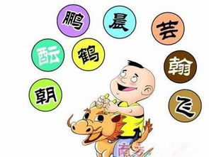 筛选名字的关键因素