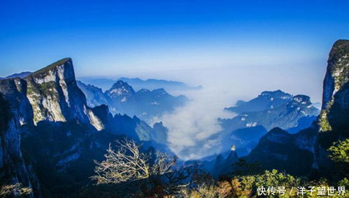 1.1 长城·慕田峪：砖缝里的野草比网红梗坚韧